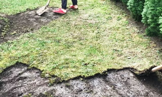 Снятие дерна старого газона в чусовом – от 530 руб. | 2Землекопа-Чсв